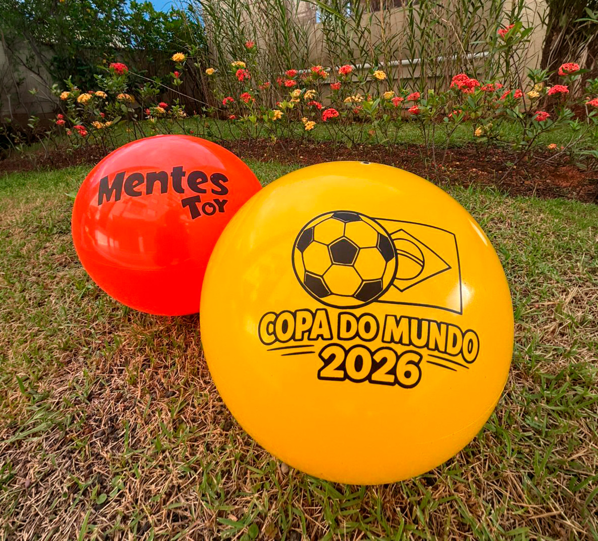 Bola Personalizada Mentes Toy